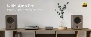 Wiim Amp Pro